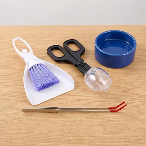 Mini Dustpan and Brush Set, Reptile Scoop Feeding Tool, Stainless Steel Straight & Curved Tweezers for Small Animals – Hamsters, Hedgehogs, Rats, Guinea Pigs, Lizards, Reptiles (Black)
