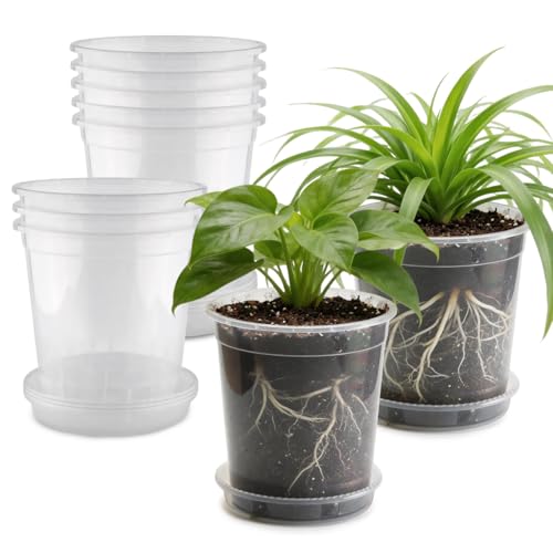 BTPLASTIK 1 Gallon Clear Nursery Pots with Saucers 10P, 6.5 Inch Round Plastic Plant Pots with Drainage Holes - size: 1 Gallon + Saucers 10P