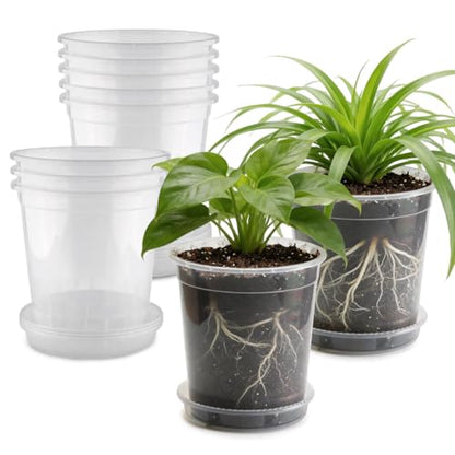 BTPLASTIK 1 Gallon Clear Nursery Pots with Saucers 10P, 6.5 Inch Round Plastic Plant Pots with Drainage Holes - size: 1 Gallon + Saucers 10P