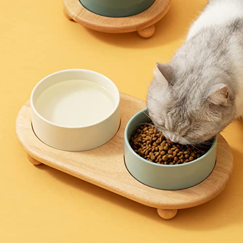 Havniva Raised Cat Bowl, 6.1” Elevated Ceramic Cat Food and Water Bowl Set | Cat Bowls Elevated, Whisker Friendly Cat Bowl, Non-Slip Wood Stand, Food-Grade Ceramic, Wide Opening, Dishwasher Safe - color: Light Green, size: 2 Bowls+Tray - 6.1"