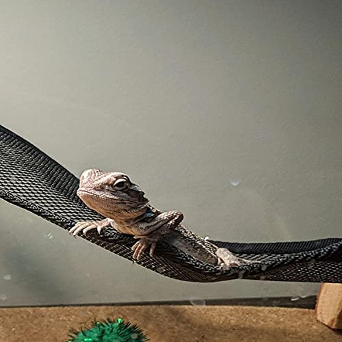 2 Pcs Bearded Dragon Lizard Hammock, Geckos Hammock, Breathable Mesh Reptile Hammock, Suitable for Iguanas, Anoles, Geckos, Snakes, Chameleon（Black） - color: black