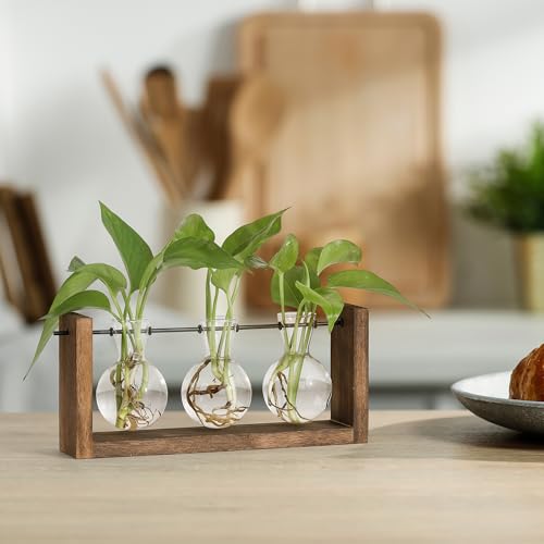 YIBOT Wall Hanging Planter Propagation Station 3 Bulb Glass Flower Vase | Plant Terrarium with Wooden Stand, Hydroponics Plants, Bathroom, Home Office Living Room Decor Gift - size: 3Bulb-M