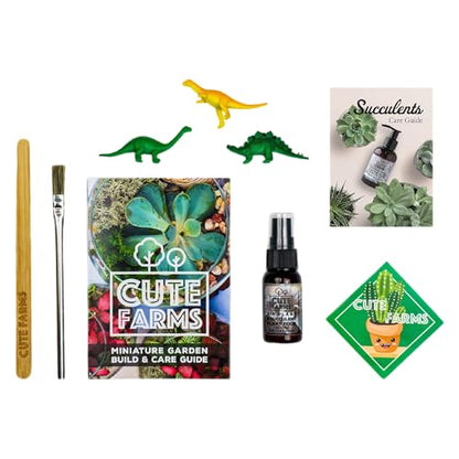 Terrarium Starter Kit | Moss, Vermiculite, Soil, Pebbles, Plant Food, & Finishing Tools (Large Kit + Live Plants + Crystals) - size: Large Kit + Live Plants + Crystals