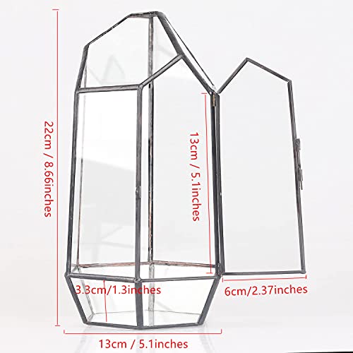 NCYP Small 5.1" x 5.1" x 8.66" Irregular Geometric Glass Terrarium Planter with Door - Home Tabletop Display Container Pot for Moss, Fern - Indoor Clear Decor, Black (No Plants)