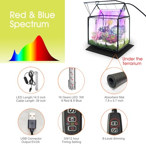 RIFNY Plant Terrarium with Grow Light, Glass Terrarium 7.1 x 4.8 x 8.8 Inch | Terrarium with LED Grow Light and Absorbent Mat for Venus Fly Trap Succulent Live Air Plants Indoor Home Office Decor - size: Black-Small with Plant Light