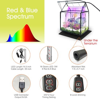 RIFNY Plant Terrarium with Grow Light, Glass Terrarium 8.9 x 5.9 x 9.9 Inch | Terrarium with LED Grow Light and Absorbent Mat for Venus Fly Trap Succulent Live Air Plants Indoor Home Office Decor - size: Black-Large with Plant Light