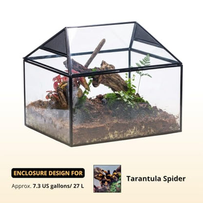 NCYP Large Geometric Glass Terrarium Box with Swing Lid for Tarantula, Snail - 14x12x12 Inches Glass Enclosure (Terrarium Only)