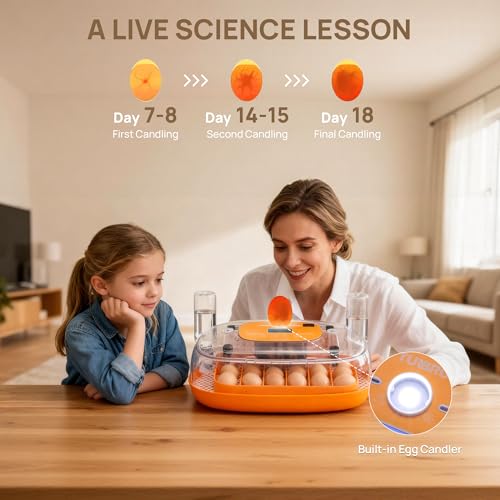 TURBRO Incubator for Hatching Eggs, Automatic Turning, Temperature & Humidity Control, Built-in Candler, 360° Viewing, 24 Egg Incubators for Chicken, Duck, Quail, Turkey, Goose, Parrot, Bird | 24 Egg Incubators, Automatic Turning, Built-in Candler, 360° V