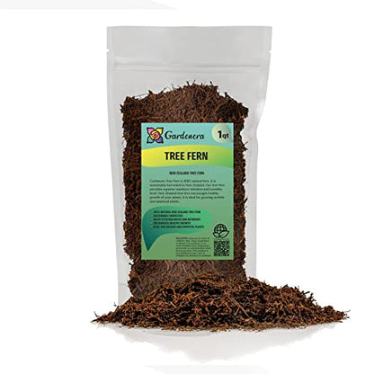 Premium New Zealand Tree Fern by GARDENERA - Orchid and Epiphytal Plants Growing Medium and Reptile Substrate - 1 Quart Bag - size: 1 Quart Bag, style: Tree Fern