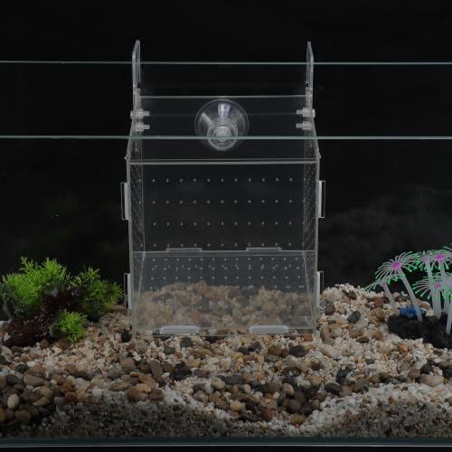 Fish Breeder Box for Fish Tank, Acrylic Fish Tank Divider, Easy to Install, 5.91"x5.91"x5.91", Clear, 1 Set - size: 5.91"x5.91"x5.91"