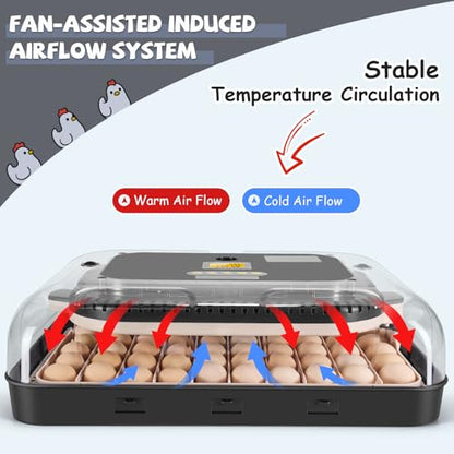 Sailnovo 70 Egg Incubator for Hatching Eggs with Auto Egg Turning and Auto Humidification, Temperature Control, Egg Candler, Large Incubator for Chicken, Duck, Goose, Pigeon, Quail, Parrot Eggs, Grey
