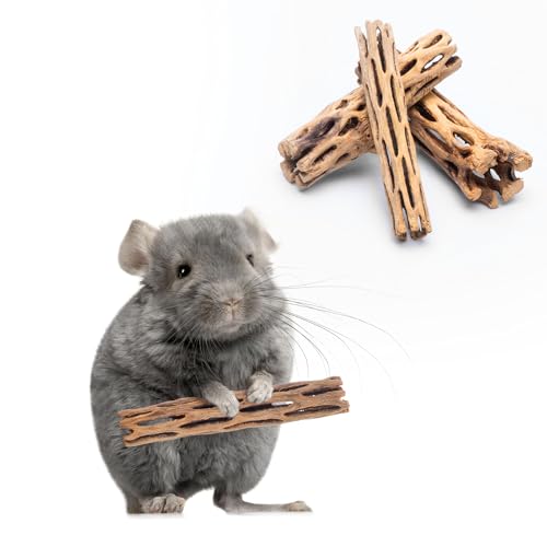 Natural Cholla Wood - Driftwood for Aquariums, Air Plant Base, Hermit Crab and Freshwater Shrimp Hideout, Fish Tank Decoration, Chinchilla Chews, Reptile Habitat Wood - 6 Inch, 2pc - size: 6 inch (Pack of 2)