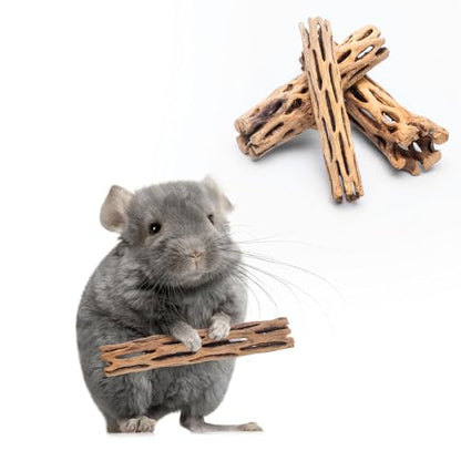 Natural Cholla Wood - Driftwood for Aquariums, Air Plant Base, Hermit Crab and Freshwater Shrimp Hideout, Fish Tank Decoration, Chinchilla Chews, Reptile Habitat Wood - 6 Inch, 2pc - size: 6 inch (Pack of 2)
