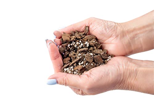 Professional Succulent Soil Premium All Purpose Blend | Pre-Mixed Ready to Use for Cactus and Succulents | Sphagnum Peat Moss, Perlite, New Zealand Pine Bark - Made in USA - 4 Quart - size: 4 Quart Bag, style: Professional Succulent Soil Blend