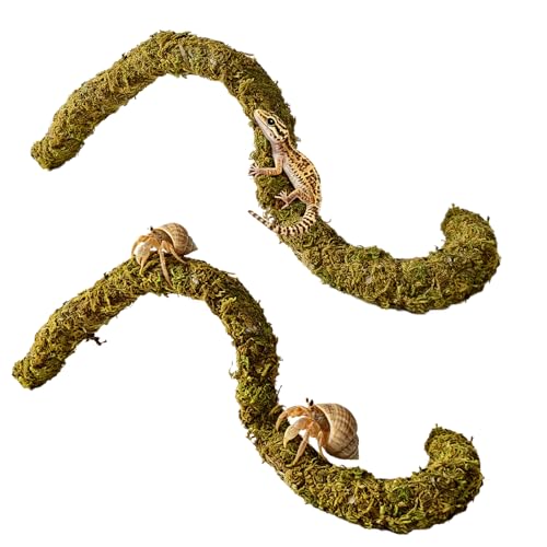 2PCS Leopard Gecko Climbing Toys Bendable Vine Tank Accessories for Lizard | Collapsible Moss,Terrarium Decor,Natural,Great Moisture Retention,for Crab Geckos Chameleons,Length of 19.7 Inches,Climbing
