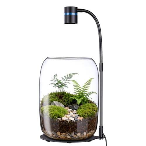 Glass Plant Terrarium with LED Grow Light for Home Office | 8.46" H x 5.9" D, Grow Light for Terrarium for Venus Fly Trap, Moss & Succulents, for Plant Lovers
