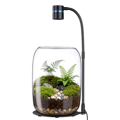 Glass Plant Terrarium with LED Grow Light for Home Office | 8.46" H x 5.9" D, Grow Light for Terrarium for Venus Fly Trap, Moss & Succulents, for Plant Lovers