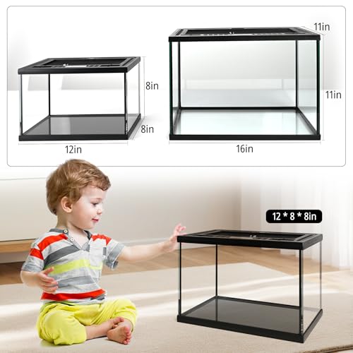 Small Reptile Glass Terrarium Kit 12"x8"x8" Full View Reptile Enclosure Tank for Spiders,Tarantulas,Hermit Crabs,Geckos,Frog,Turtle,Fish and Isopod with Tank Accesssories and Top Openning Door - size: 8"W x 12"D x 8"H
