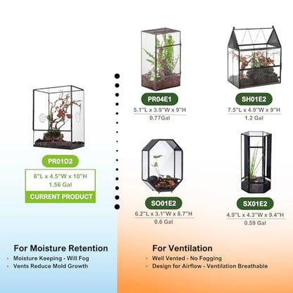 NCYP Glass Terrarium with Front Opening Door and 3 Vents for Insects, Snail, Spider, Glass Enclosure - 8"x4.5"x10" Clear Closed Plant Greenhouse Box (Terrarium Only)
