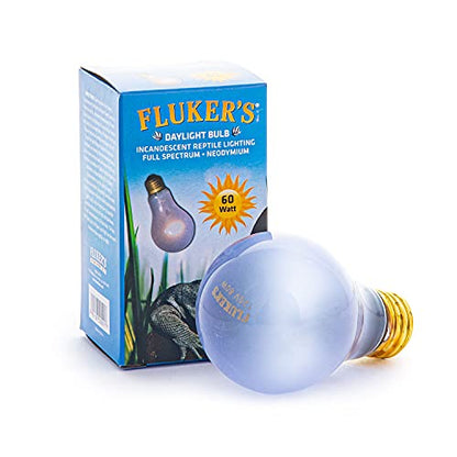 Fluker's Incandescent Reptile Lighting, Full Spectrum Daylight Bulb for Reptiles, Made with Neodymium, Provides Infrared Light, 60-Watt - size: 60 Watts