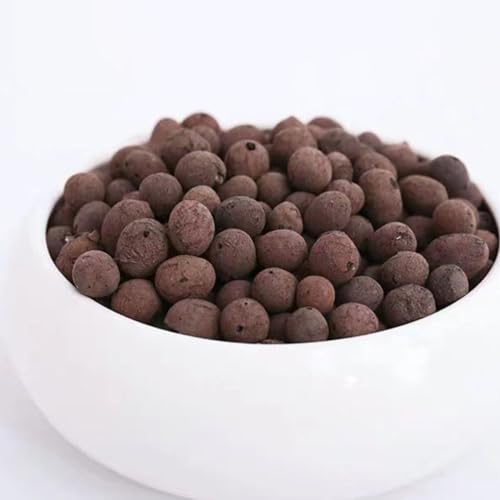 VANZACK 1bag Clay Stones for Decorative Rocks for Hydroponic Plants Bonsai and Terrariums Breathable Potting Material