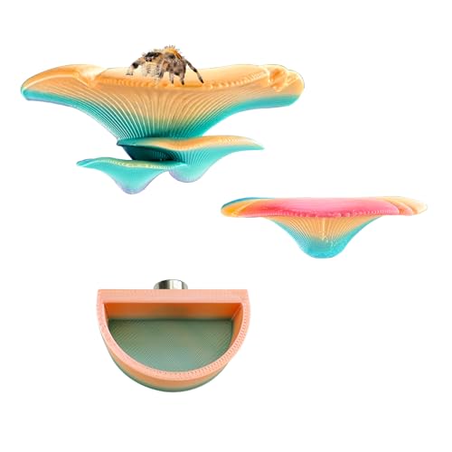 2 Pack Jumping Spider Accessories Mushroom Ledges & 1 Pack Water Bowl with Magnets for Spoods Jumping Spiders Magnetic Ledge Ladder Pet Spider Accessories (Not Included The Terrarium) - color: green+yellow