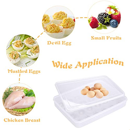 96 Egg Holders for Refrigerator,4 Set Clear Deviled Egg Tray with Lid,Plastic Egg Storage Container,Egg Organizer for Protect and Keep Fresh,24 Egg Tray x 4 Pack - size: 96 Eggs