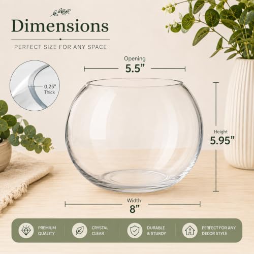 Glass Bubble, 6" Height x 8" Width Glass Fish Bowl Vase, Bubble Bowl vase for Terrarium, Flower vase Centerpiece - size: Bubble Bowl : 5.8" Height x 8" Width