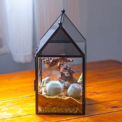 NCYP Glass Enclosure with Vent Holes for Small Insect, Jumping Spiders, Mantis - 7.5" x 4.9" x 9" Front Opening Door House Shape Vented Glass Terrarium, Home Decor Black (Terrarium Only) - size: 7.5" x 4.9" x 9"