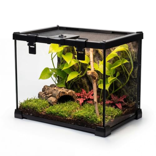 20"x12"x14" Reptile Terrarium, Escape-Proof Glass Arboreal Vivarium for Small Arboreal Reptiles Such as Crested Geckos, with Escape-Proof Lock & Feeding Hatch - size: 20"D x 12"W x 14"H