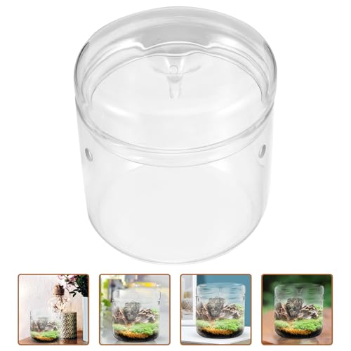 Alasum Micro Landscape Moss Terrarium Glass Container for Office Desktop, 12X12Cm Eco Bottle Planter with Ecosystem for Creative Indoor Plant Decoration