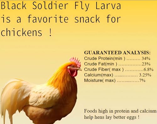 Classic Flock 11 lb Black Soldier Fly Larvae for Chickens and Birds | High Protein Treats; More Calcium Than Mealworms; pure natural food; Treats for wild birds,laying hens,blue birds - size: 11 Pound (Pack of 1)