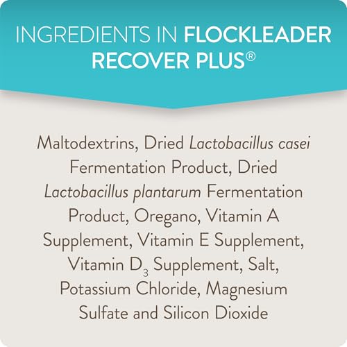 Recover Plus Moderate Stress Probiotic Water Supplement for Chickens with Electrolytes & Oregano, 8 oz - size: 8 Ounce (Pack of 1), style: Recover Plus
