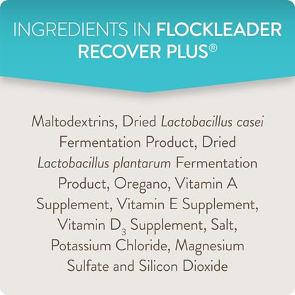 Recover Plus Moderate Stress Probiotic Water Supplement for Chickens with Electrolytes & Oregano, 8 oz - size: 8 Ounce (Pack of 1), style: Recover Plus
