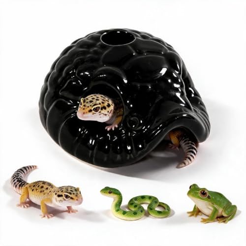 Snake Head Reptile Hide Cave, Black | Small Ceramic, Gecko Hideout with Water Reservoir, Mini Terrarium Decor, For Juvenile Snake, Lizard, Frog - color: Black