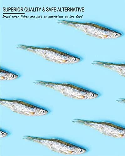 7 OZ Dried River Fish - 100% Natural Food for Turtles, Terrapins, Cats, Reptiles, Large Tropicals,Rodents