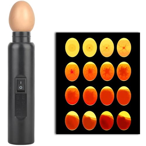 FLEXMAN Egg Candler Tester, LED Light Egg Tester Candling Lamp, Multi Purpose Auto Mini Lighting Lamp for All Types Egg Broody or Incubator