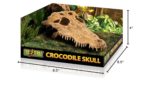 Exo Terra Crocodile Skull Terrarium D - style: Crocodile