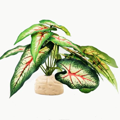 Fake Plants for Reptile Terrarium, Habitat Decor,Artificial Plant | Fake plants with base for ball python bearded dragon Gecko Chameleon Snake Tortoise Tank Accessories-Alocasia Red - color: Alocasia Odora