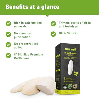 Sepia King - Extra Large - 100% Natural Calcium Supplement - Premium Cuttlebone Perfect for Birds, Tortoises, Snails, Reptiles - Pack of 3
