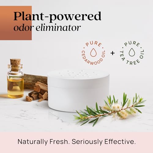 Azuna Pet Odor Eliminator for Strong Odor Gel | Child & Pet Safe | 8oz Pod | Plant Powered | Dog and Cat Room Deodorizer | Child and Pet Safe Air Fresheners for home | Cedarwood Scent - size: 8 Ounce (Pack of 1)