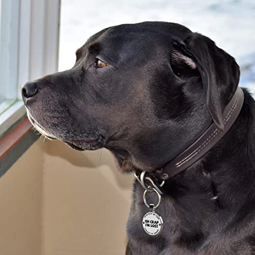 MYLUCKYTAG QR Code Pet ID | Personalized Dog & Cat Collar Tag | Online Profile with Instant Scanned Location Alert Email - style: OH C0ap I'm Lost