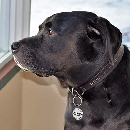 MYLUCKYTAG QR Code Pet ID | Personalized Dog & Cat Collar Tag | Online Profile with Instant Scanned Location Alert Email - style: OH C0ap I'm Lost