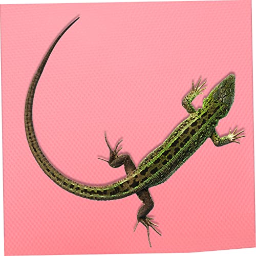 YARNOW 200m Reptile Carpet for Bearded Dragon Gecko Snake Turtle Easy Clean Non-Slip Mat for Terrarium Decor