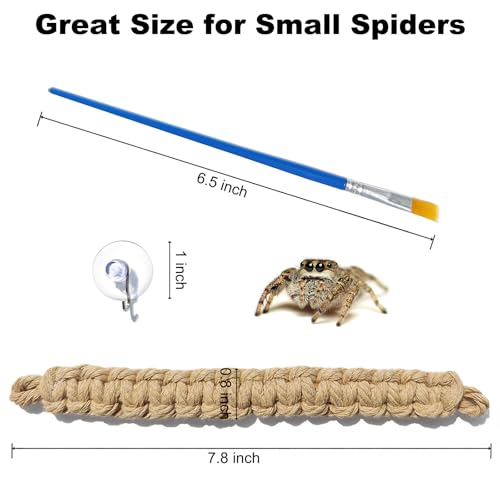CYG&CL 2 Pack Jumping Spider Enclosure Climbing Toys, Hanging Jumping Spider Rope Bridge, Habitat Decor for Small Reptiles and Amphibians