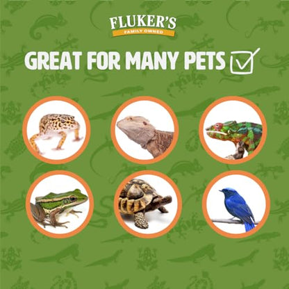 Fluker's Live Crickets for Reptiles, Chickens, Birds and Fishing, 500 Count Feeder Insects Gut Loaded with Orange Cube, High Calcium, and Vitamins, Shipped Fresh in a Ventilated Box (1/2 Inch) - size: 500 Count (Pack of 1), style: Medium, 1/2"