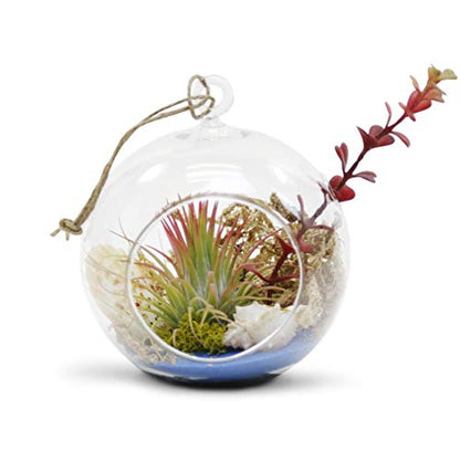 WGV Hanging Terrarium Globe, Width 5", Height 6", DIY Air Succulent Planter, Clear Glass Vase Orb with Flat Bottom, Candle Holder for Windowsill Outdoor Garden Decor, 1 Piece - size: 5" Flat Bottom