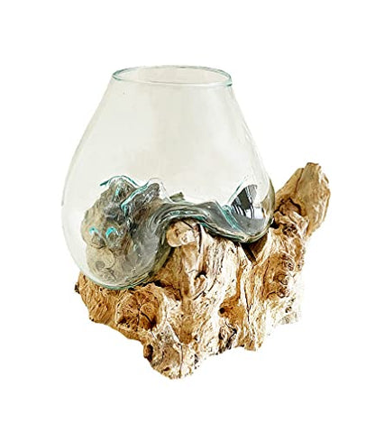 OMA Hand Blown Molten Glass on Driftwood Terrarium Vase or Planter – Recycled Glass & Natural Wood for Coastal & Boho Home Décor (12"–14" High) - size: 12" - 14" High