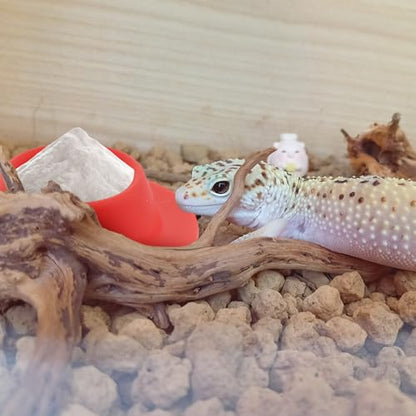 4 Pack Gecko Calcium Dish Small Reptile Food and Water Bowl Silicone Shallow Feeder for Reptile Lizard Gecko Frog Snake Turtle