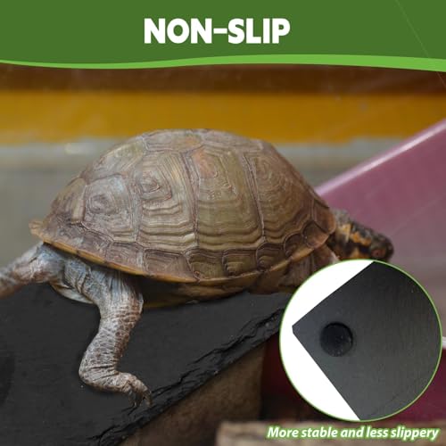kathson 2 PCS Reptile Basking Platform (15.7 x 11.8 inches), Natural Rock Plate Turtle Food Bowl Feeding Dish Resting Terrace Habitat Decor for Tortoise Turtle Lizard Bearded Dragon Crested Gecko - size: 15.7X11.8inch,2PCS